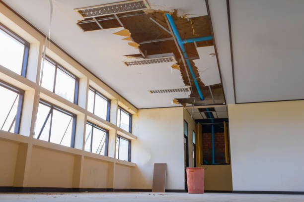 Best Residential water damage restoration  in Magnolia, MS