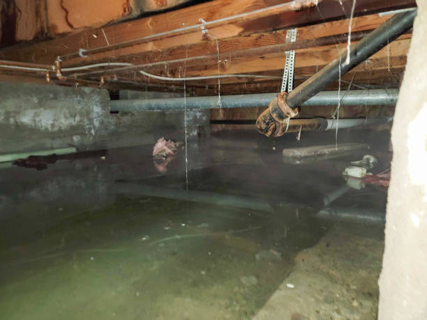 Fire Damage Restoration in Magnolia, MS