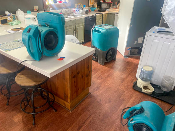 Best Flooded house restoration  in Magnolia, MS