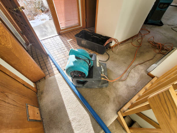 Best Ceiling water damage repair  in Magnolia, MS