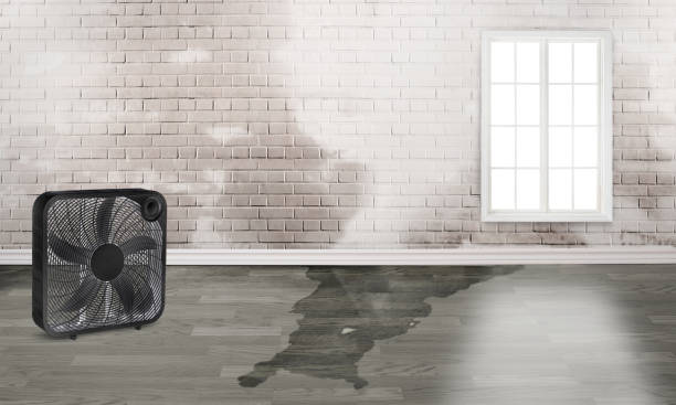 Trusted Magnolia, MS Water damage restoration Experts